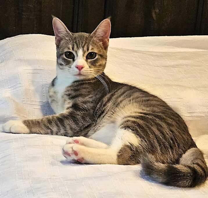 Photo of Macey