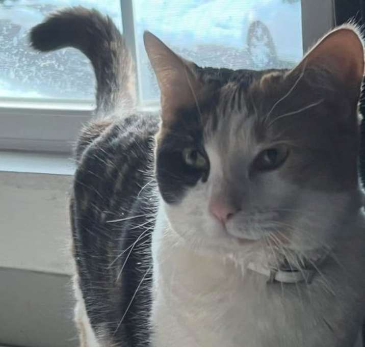 Photo of Delilah