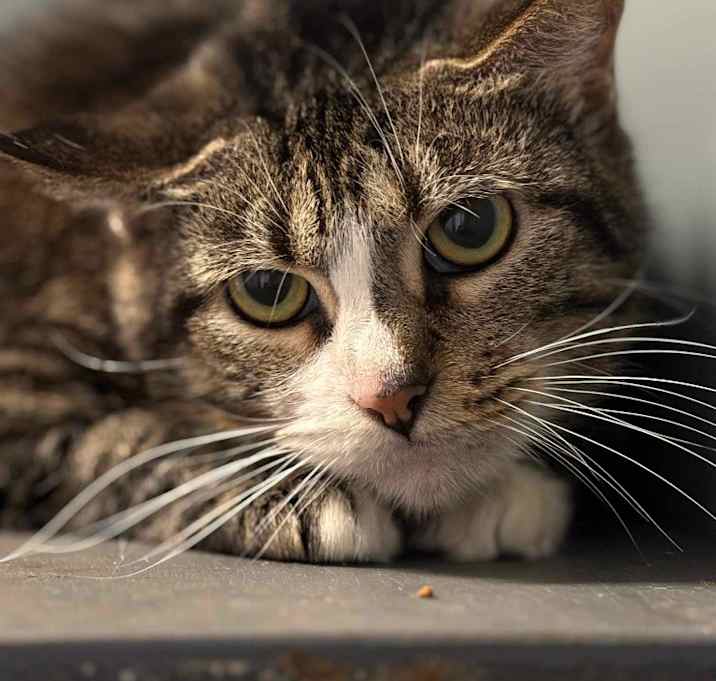 Photo of Maxine