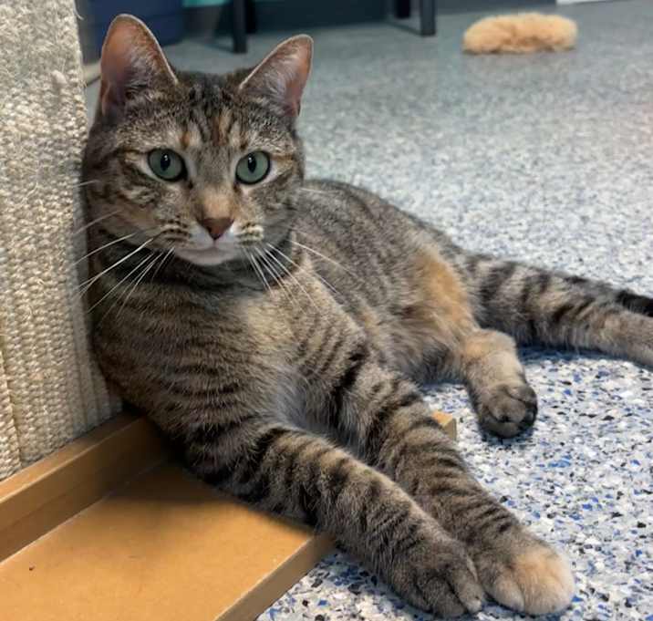 Photo of Stormy