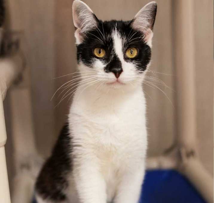 Photo of Calypso