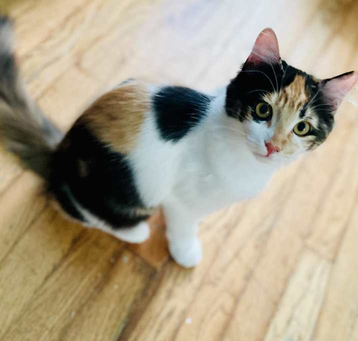 Photo of Colby
