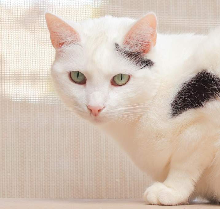 Photo of Sally Mae
