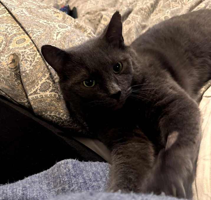 Photo of Yuri