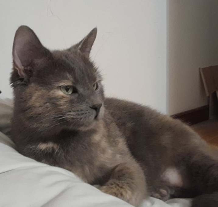 Photo of Jaz