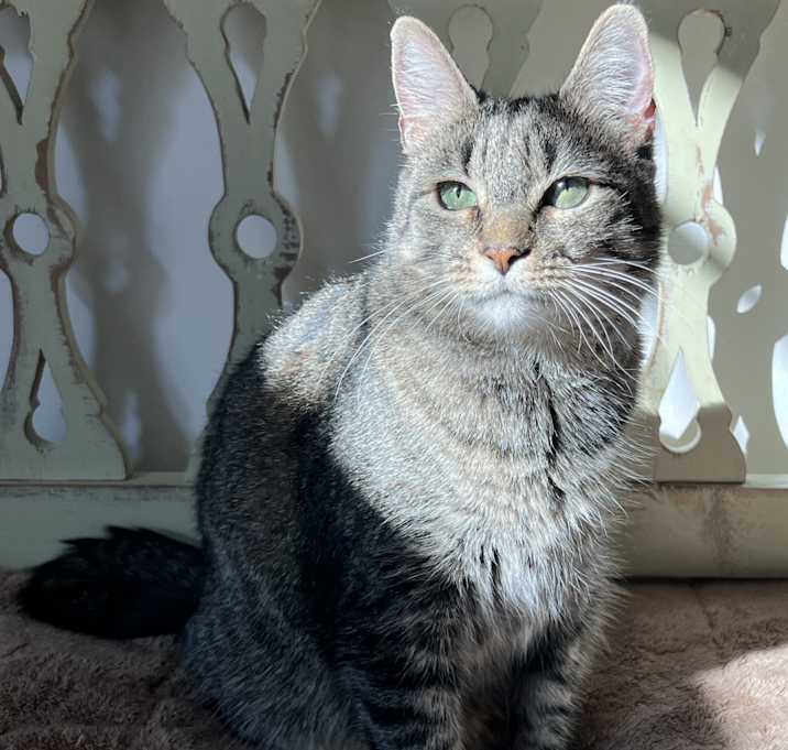 Photo of Jewel