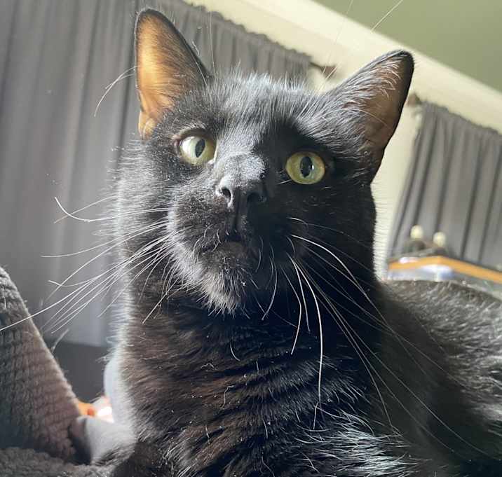 Photo of Salem