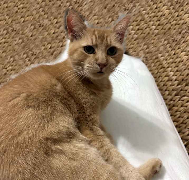 Photo of Jasper