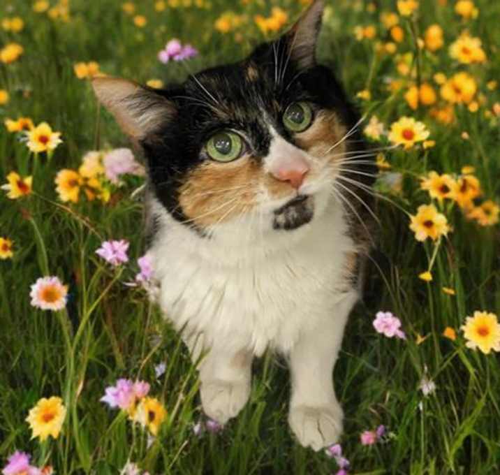 Photo of LUCY