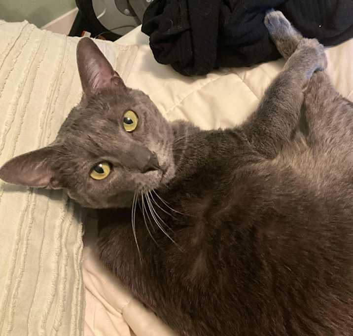 Photo of MoMo