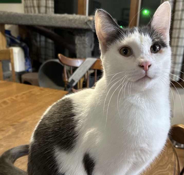 Photo of Waldorf Astoria