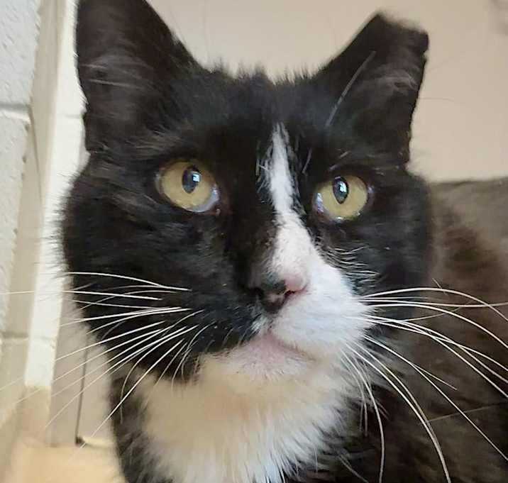 Photo of Socks