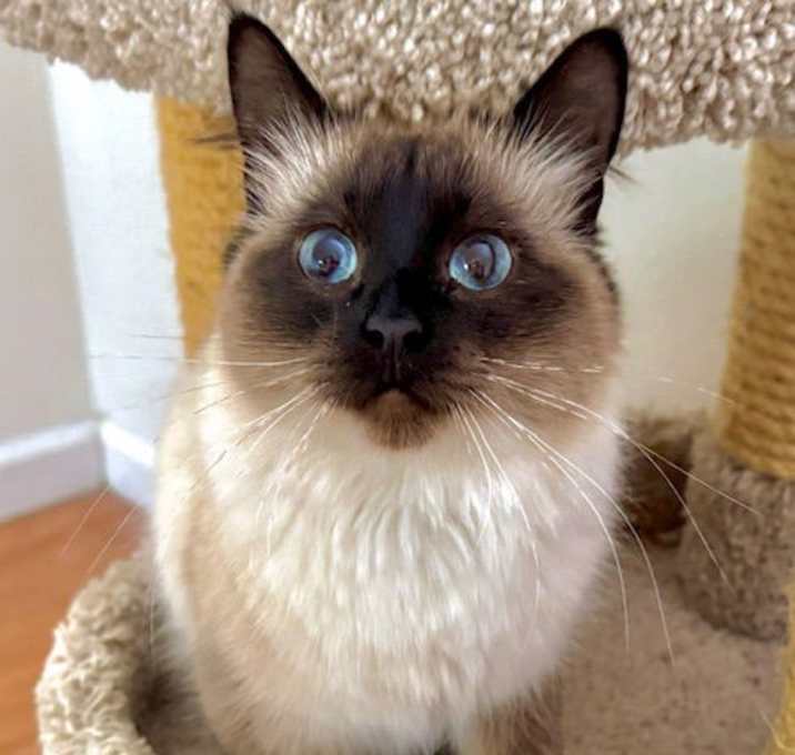 Photo of Maggie