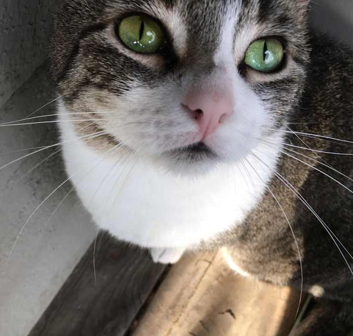 Photo of Tony