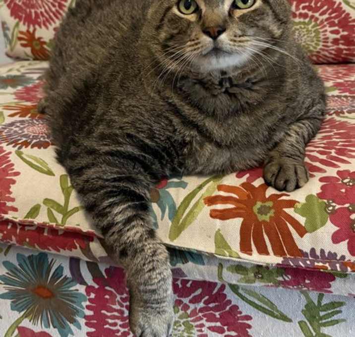 Photo of Toliver