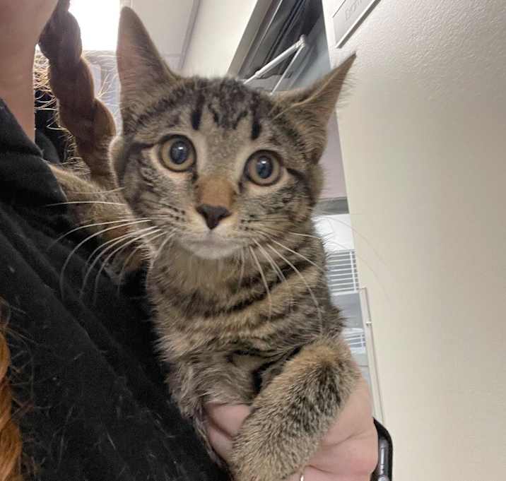 Photo of Gucci