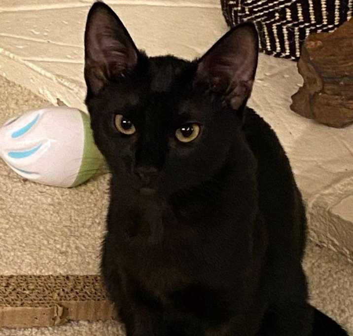 Photo of Jet