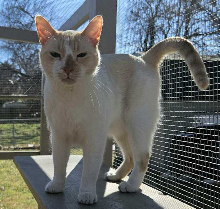Photo of Calvin