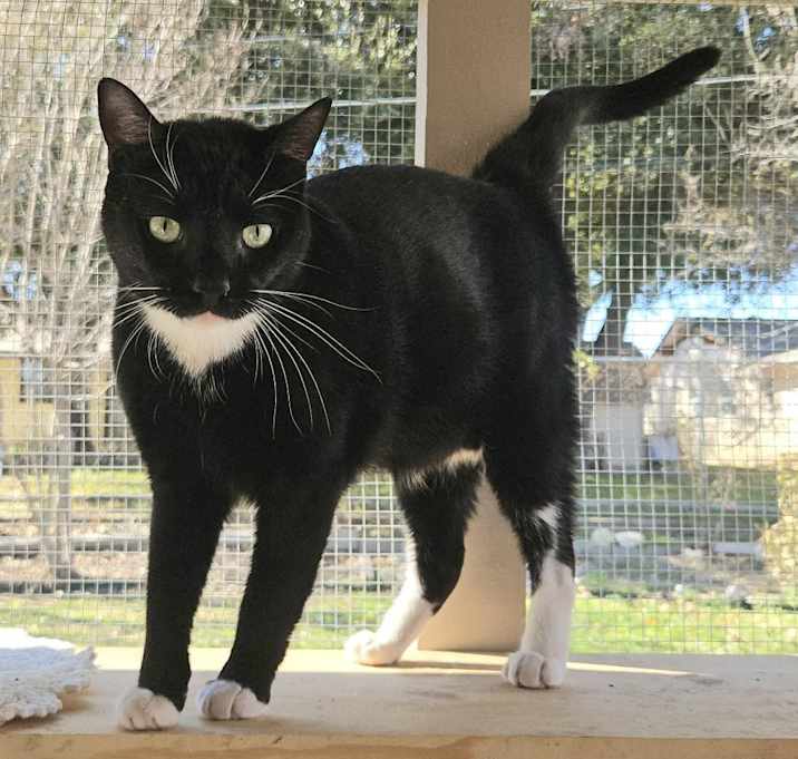 Photo of Mousetro