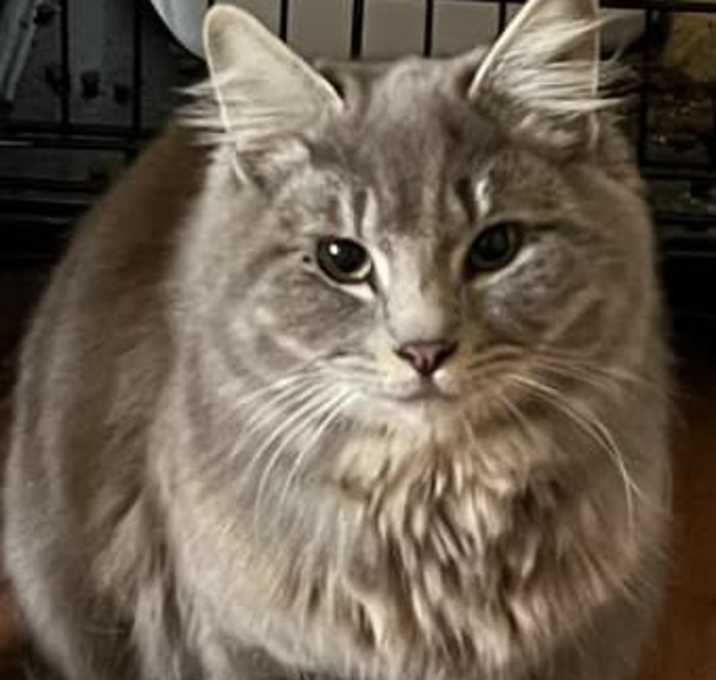 Photo of Percy