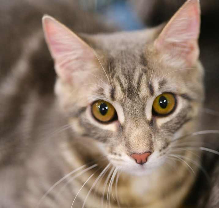 Photo of Mattie