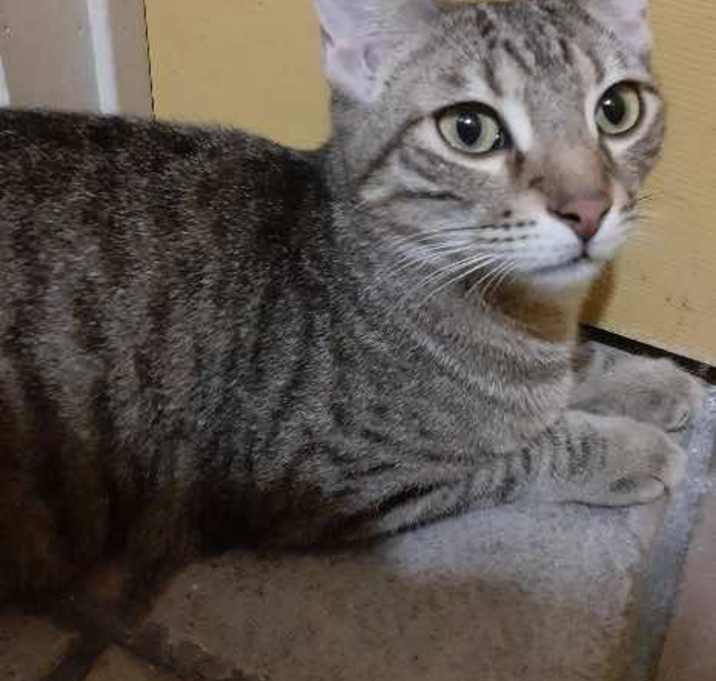 Photo of Pappy