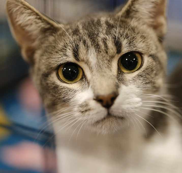 Photo of Darlene
