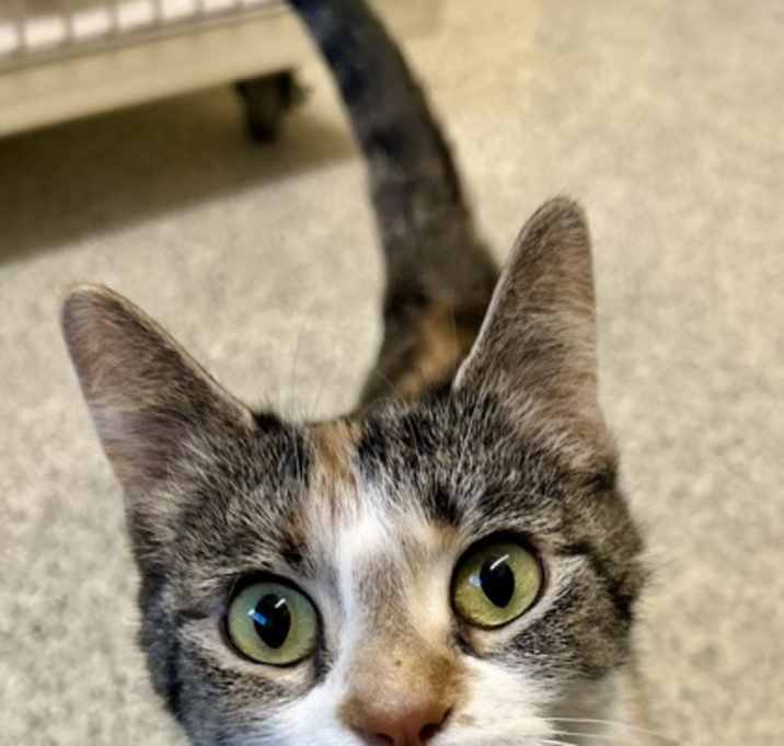 Photo of Mitzi