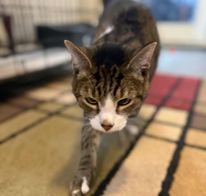 Photo of DJ
