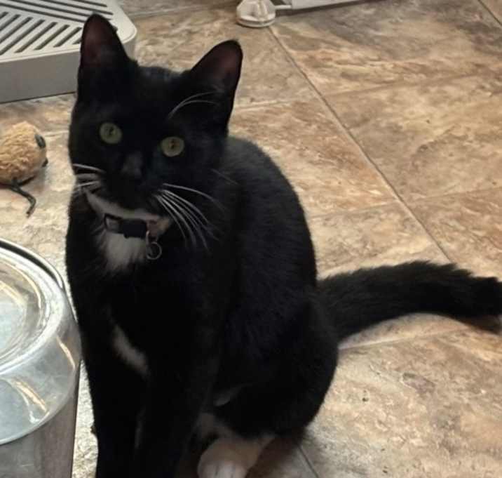 Photo of Ada