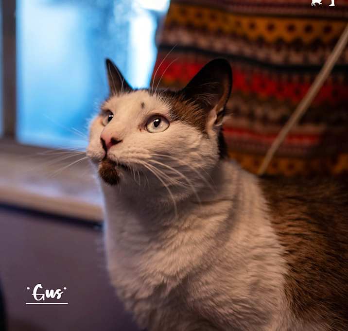 Photo of Gus