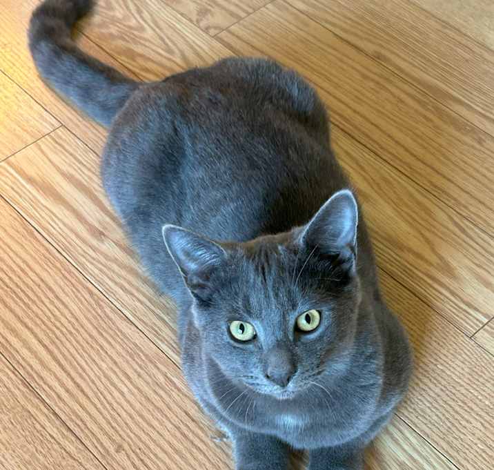 Photo of Sterling