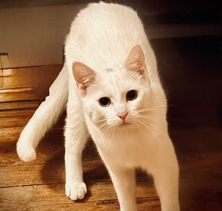 Photo of Bug