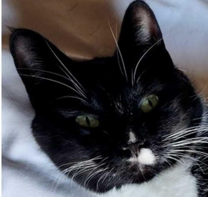 Photo of Carolyn's Sheila aka She-She