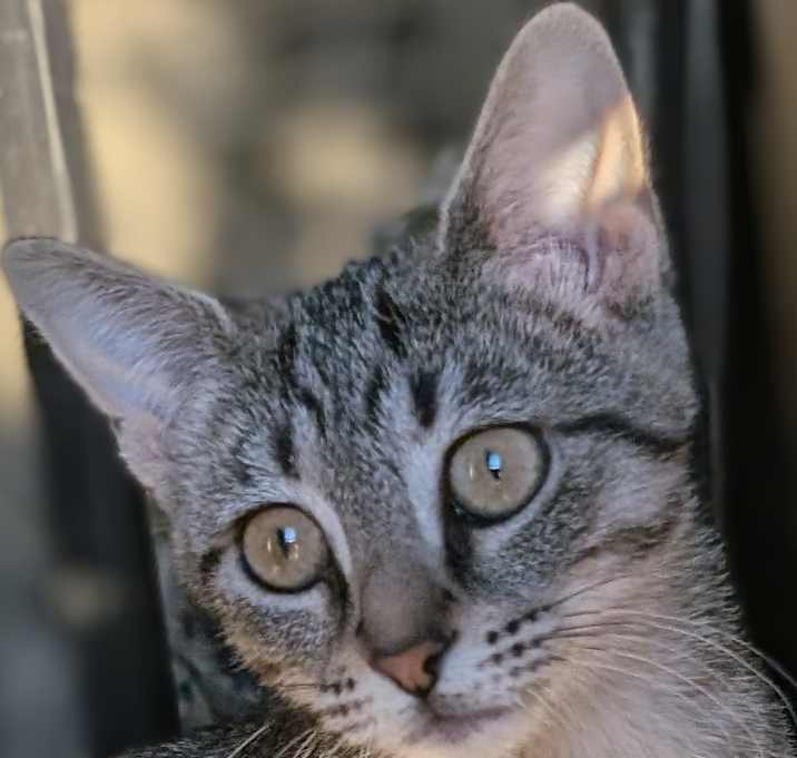 Photo of Evie