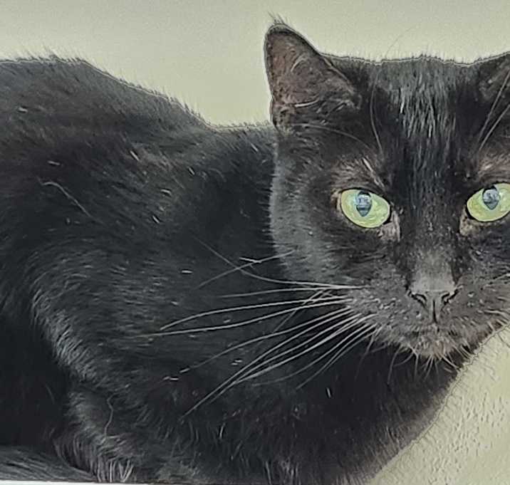 Photo of Chiquita