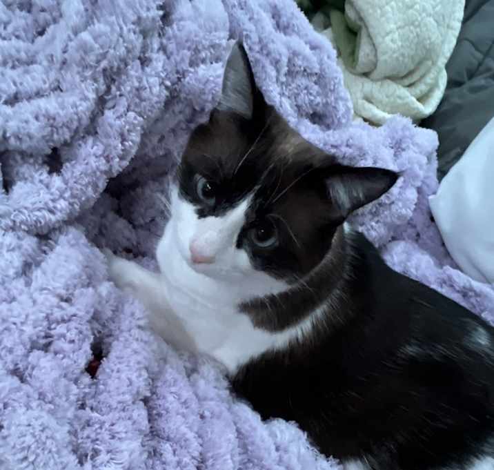 Photo of Peggy