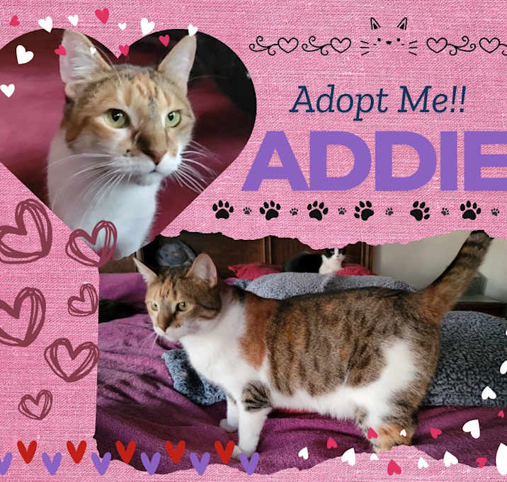 Photo of Addie