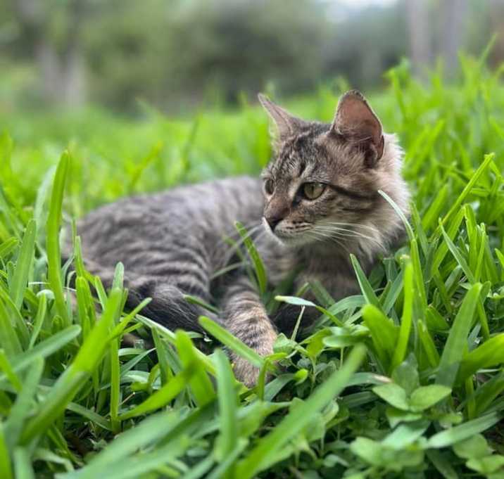 Photo of Penelope