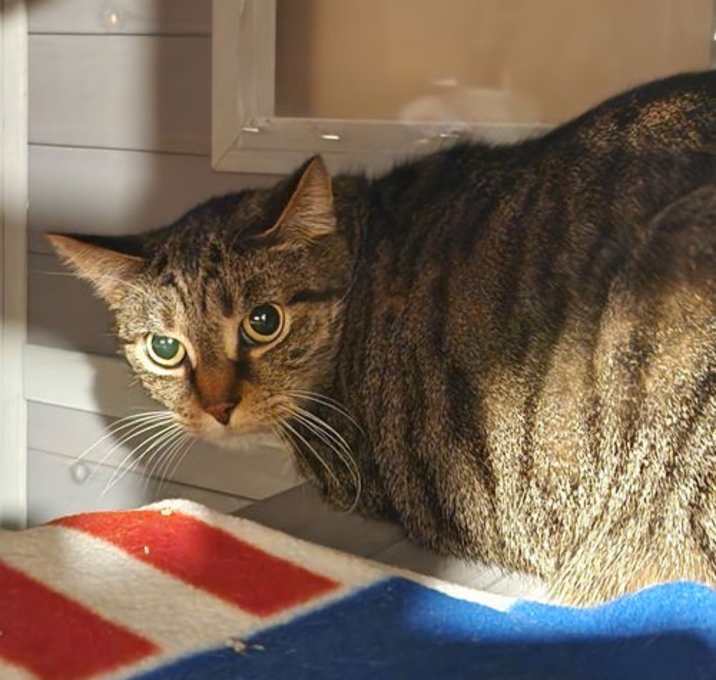Photo of Jerry - Can't Touch