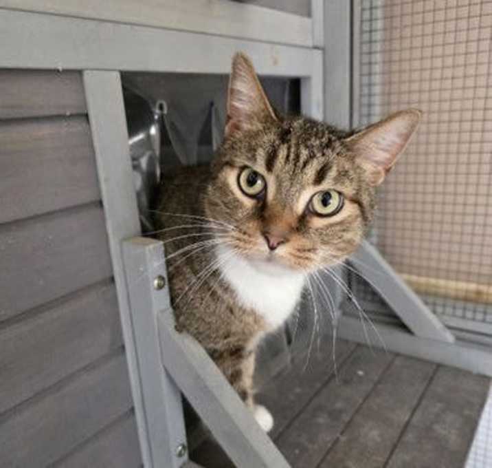 Photo of Tom