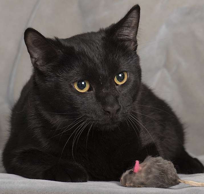 Photo of Philip