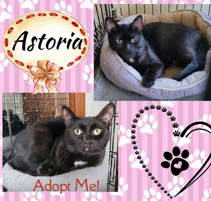Photo of Astoria