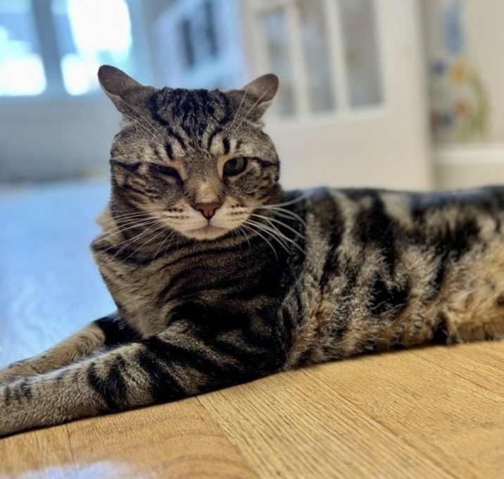 Photo of Ziger