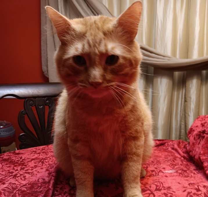 Photo of Baby