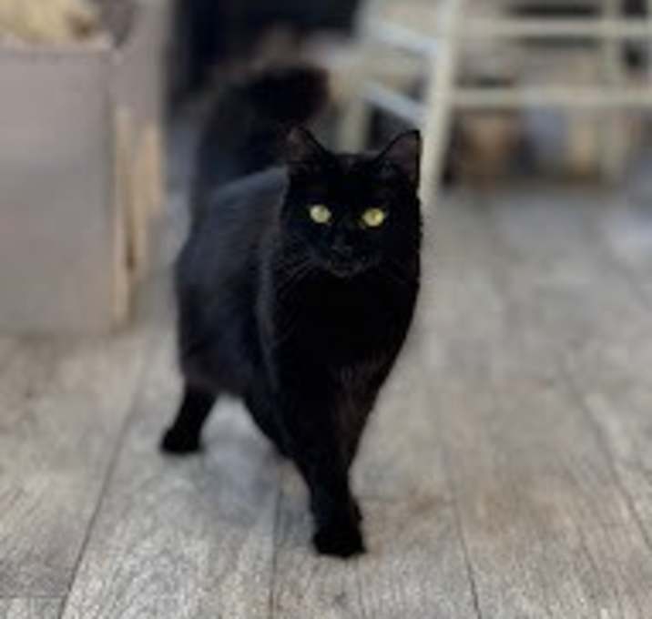 Photo of Elvira
