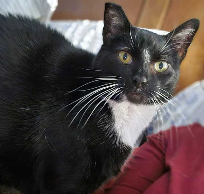 Photo of Maeve