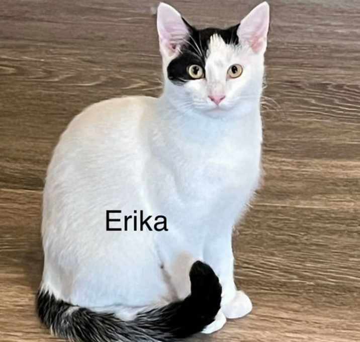 Photo of ERIKA