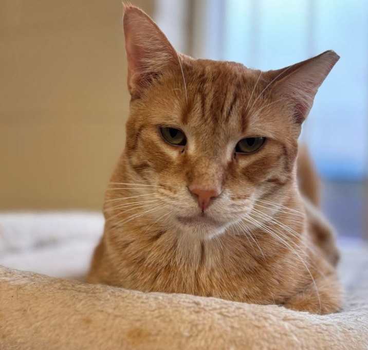 Photo of OJ
