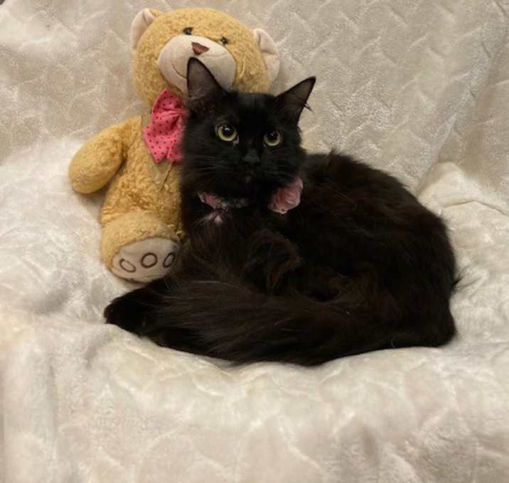 Photo of Lucy Lou